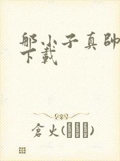 那小子真帅小说下载