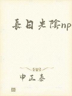 长日光阴np