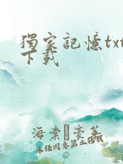 独家记忆txt下载