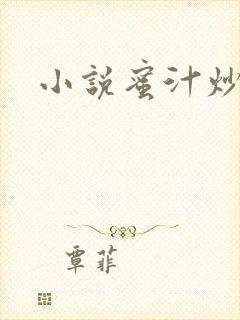 小说蜜汁炒鱿鱼