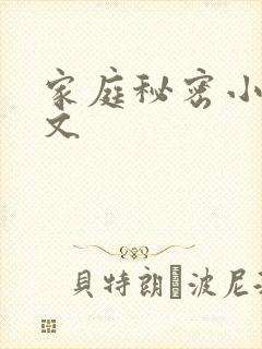 家庭秘密小说全文
