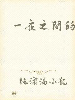 一夜之间的天才