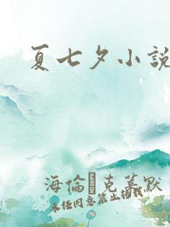 夏七夕小说