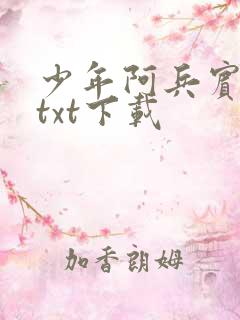 少年阿兵宾小说txt下载
