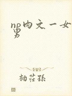 np肉文一女多男