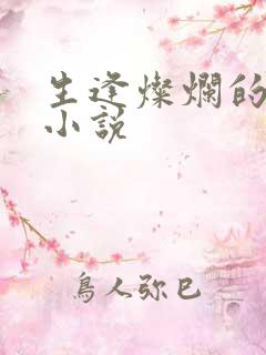 生逢灿烂的日子小说