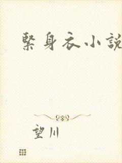 紧身衣小说