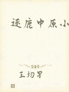 逐鹿中原小说