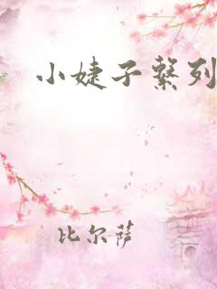 小婕子系列小说