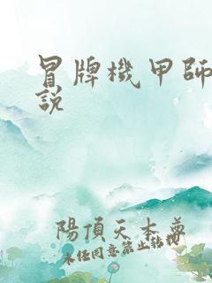 冒牌机甲师 小说