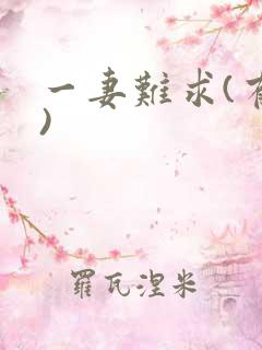 一妻难求(有肉)