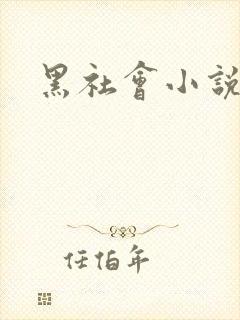 黑社会小说下载