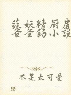 苏妖精厨房爹爹爸爸的小说