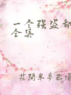 一个强盗都不留全集