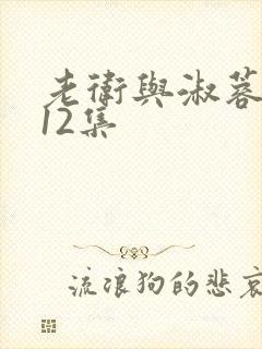 老卫与淑蓉1一12集