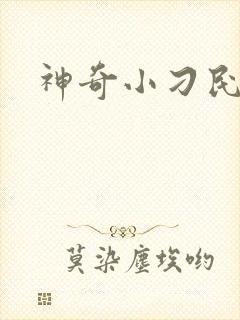 神奇小刁民