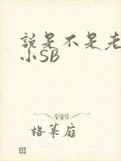 说是不是老公的小SB