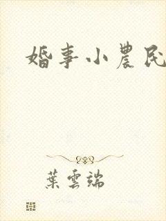 婚事小农民