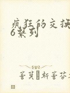 疯狂的交换1一6系列