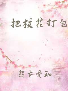 把校花打包带走