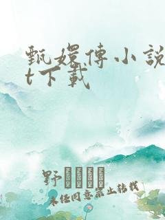 甄嬛传小说txt下载