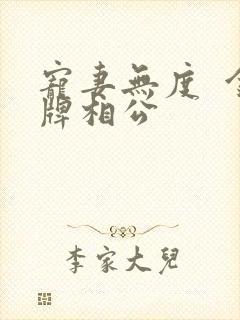 宠妻无度  金牌相公