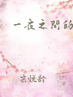 一夜之间的天才