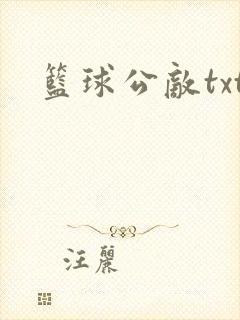 篮球公敌txt