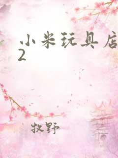 小米玩具店老板2