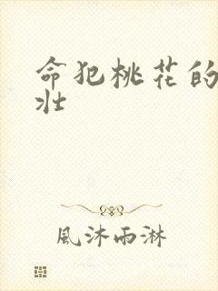 命犯桃花的李大壮