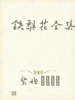 铁梨花全集下载