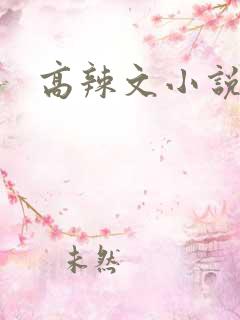 高辣文小说