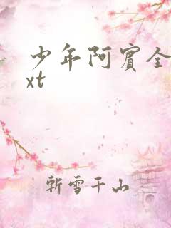 少年阿宾全集txt