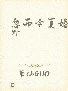 忽而今夏婚后番外