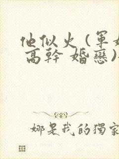 他似火 (军婚 高干 婚恋)全文在线阅读