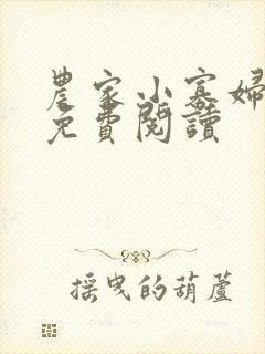 农家小寡妇全文免费阅读