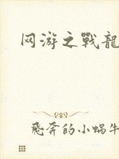 网游之战龙无双