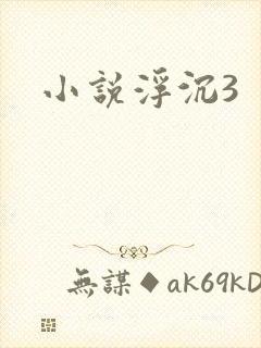 小说浮沉3