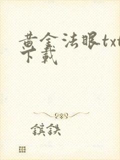 黄金法眼txt下载
