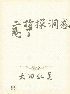 二指探洞感觉要飞了