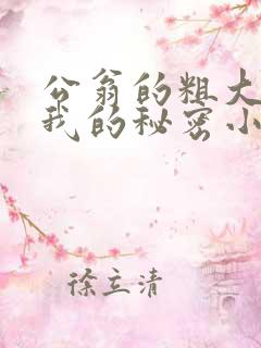 公翁的粗大放进我的秘密小说