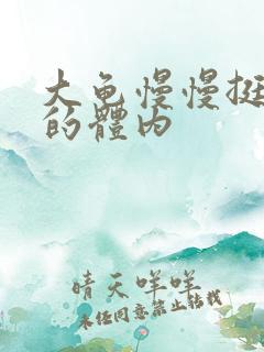 大龟慢慢挺进我的体内