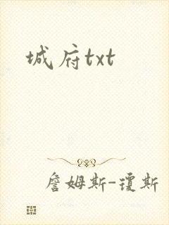 城府txt