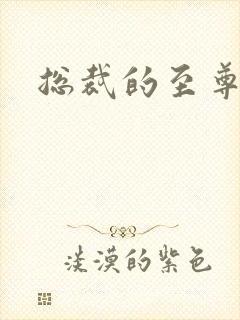 总裁的至尊前妻