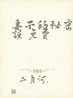 妻子的秘密 小说 免费