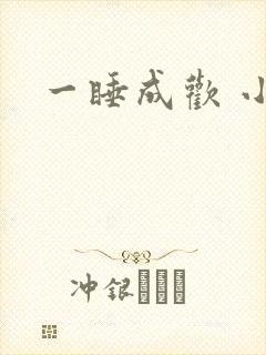 一睡成欢 小说