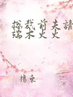 总裁前夫请自重端木火火