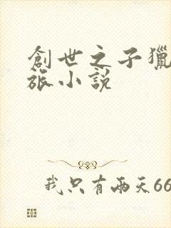 创世之子猎艳之旅小说