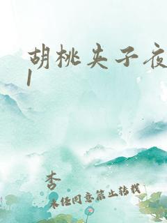 胡桃夹子夜未眠1