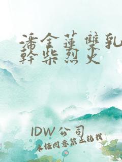 潘金莲双乳晃动干柴烈火